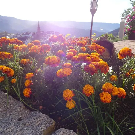 Apartmán Am Keschtewaeldele **** Forbach