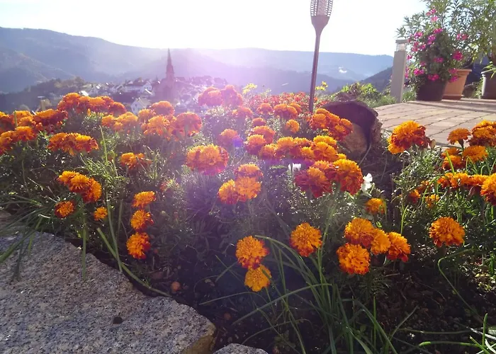 公寓 Am Keschtewaeldele **** 福尔巴克