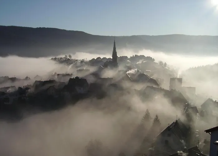 公寓 Am Keschtewaeldele **** *