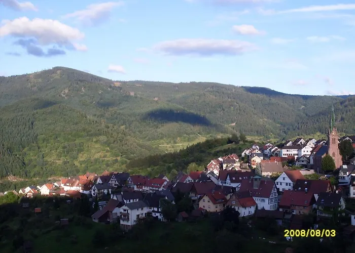 公寓 Am Keschtewaeldele **** 福尔巴克